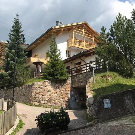 Arnica Mountain Soraga
