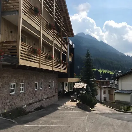 Arnica Mountain 3*